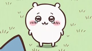 Chiikawa/ちいかわ ちいかわ泣いちゃった