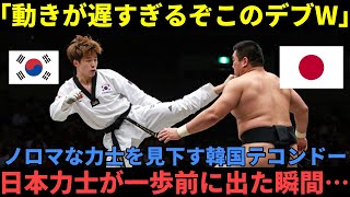 【海外の反応】「力士が俺のキックの速度に対応できるわけねえだろ！」韓国テコンドー選手がカ士をデブと見下し対戦.力士が一歩前に出た瞬間…