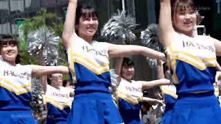 【4K】チア部/バトン部/高校/大学/お祭り/パレード/文化祭/学園祭/野球応援/カメラじじい/Japanese Omatsuri　＃チア #チアリーダー #チア部 #応援団 #バトン部