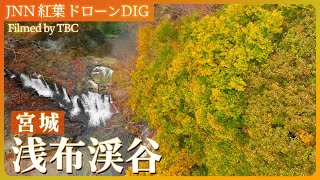 栗原市・浅布渓谷の紅葉【JNN 紅葉ドローンDIG 2024】｜TBS NEWS DIG