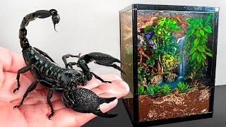 I built a Scorpio the house of his dreams