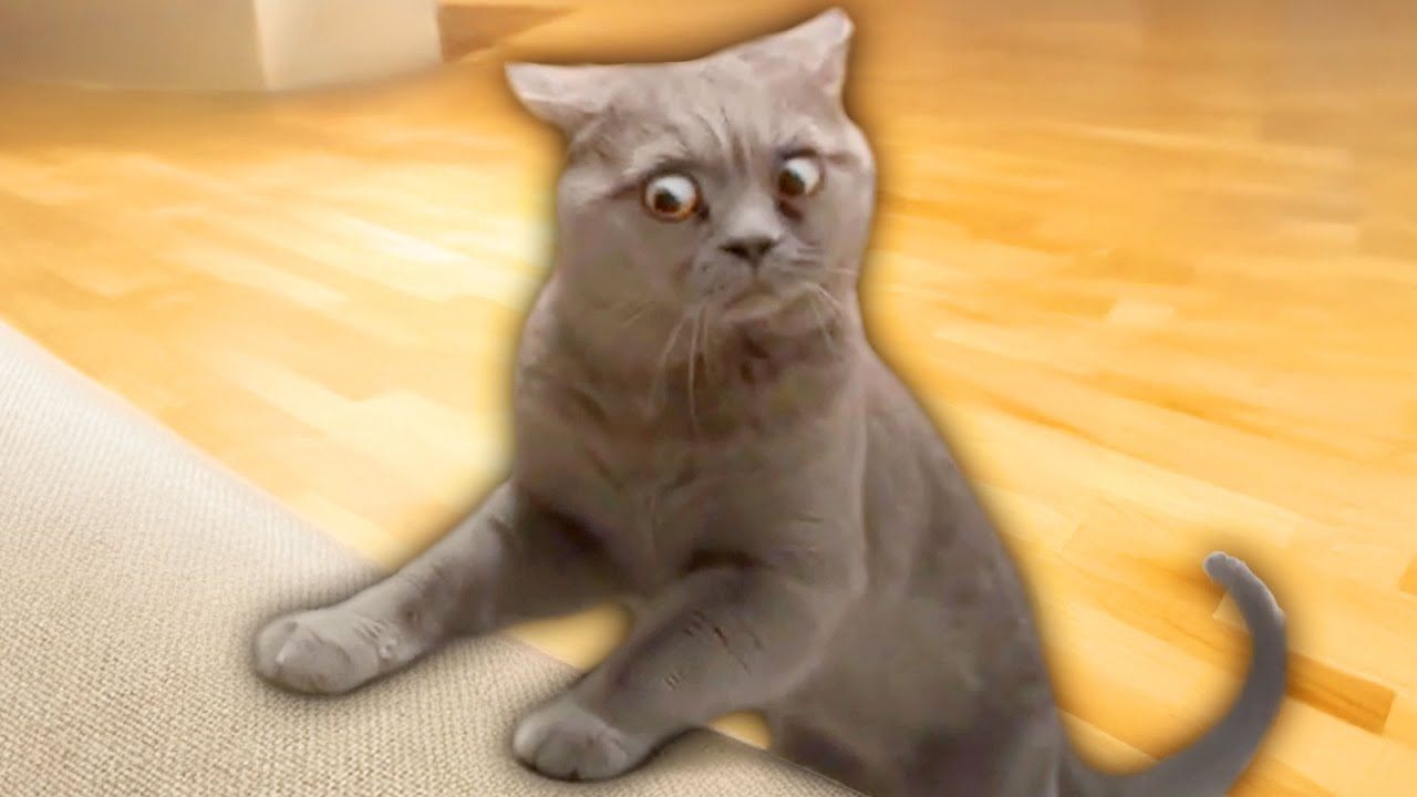 サムネ