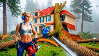 Dangerous Fastest Idiots Cutting Tree Fails Skill With Chainsaw : Tree Falling on Houses #14
