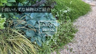 【5月のガーデンツアー】管理が楽で手間いらずな植物のご紹介|ガーデニング|ナチュラルガーデン|5月の庭|手間いらずの庭|ガーデニング初心者|庭のある暮らし|vlog