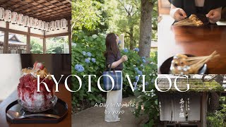 京都VLOG |京都のくらし|梅雨の京都で紫陽花まつり|今年初のかき氷|京都の人が大好きなあぶり餅|藤森神社|寺嘉|松本酒造|とうひち|今宮神社|あぶり餅かざりや