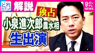 【独占】小泉農水相「私が農協を潰そうとしてるってことはないです。潰れるかどうかは、農家の皆さんに選ばれるかどうかだけだと思います」生放送で語る|旬感LIVE とれたてっ!〈カンテレNEWS〉