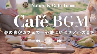 Relax at a Spring Blue Sky Café with Bossa Nova Music ☕✨ (for work, studying, chores, or reading)
