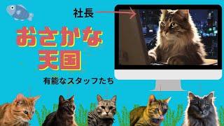 【おさかな天国】猫が社長!? スタッフも全員猫のユニークな会社の日常 | 空想ストーリー