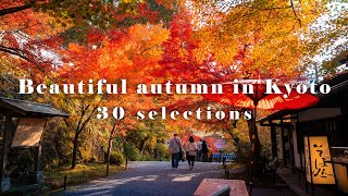 【 Japan trip 4K 60p】京都の紅葉 30選　(Autumn colours in Kyoto 30 selections)