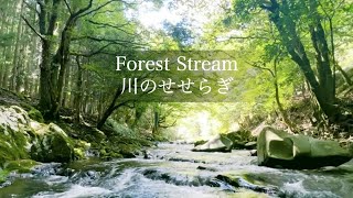 【自然環境音】ゆるやかな川の音 / 睡眠 勉強 作業用 BGM / リラックス・元気UP / 自然音 Nature Sound