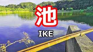 池で大型うなぎを狙う　【うなぎ釣り】