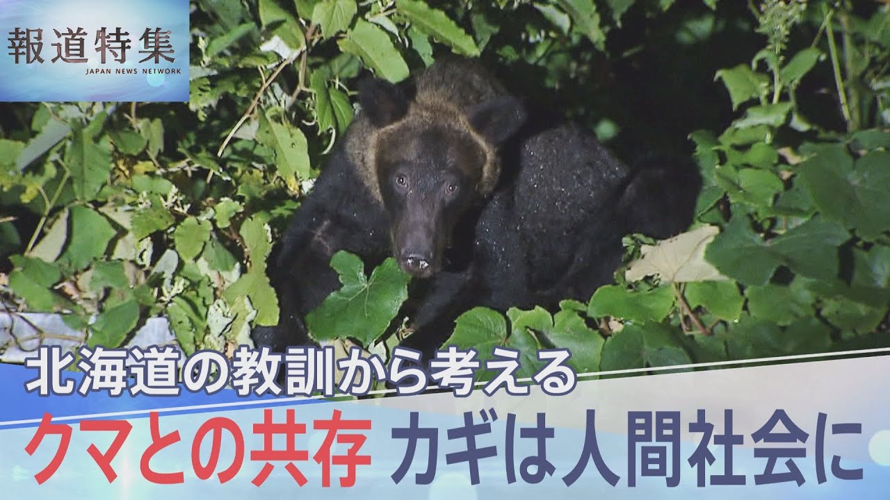 サムネ
