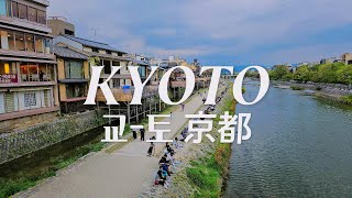 【교토 여행 Vlog】 ep.1✈️ 봄날의 교토 산책 | 간사이공항→교토역 | LP숍과 위켄더스커피와 가모강 | 돈가스와 탄탄멘과 편의점