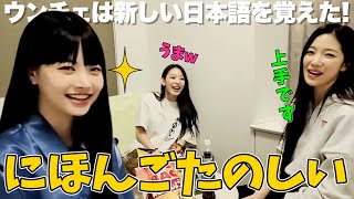 日本語に興味津々なウンチェ【LE SSERAFIM / 日本語字幕】