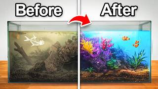 Transforming an Abandoned Aquarium (with fish)