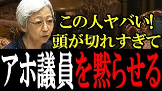 【論破連発】冷静なブチギレで議員たちをガン詰めする大山礼子参考人！気品ある指摘が的を得すぎて会場が静まり返る...【国会　国会ピックアップ】