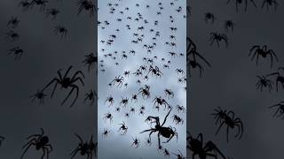 5 SCARY Natural Phenomena You Won’t Believe Exist! #facts #naturefacts #shortsfacts #shorts