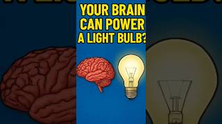 Your Brain Can Power a Light Bulb?! Shocking Science Fact!