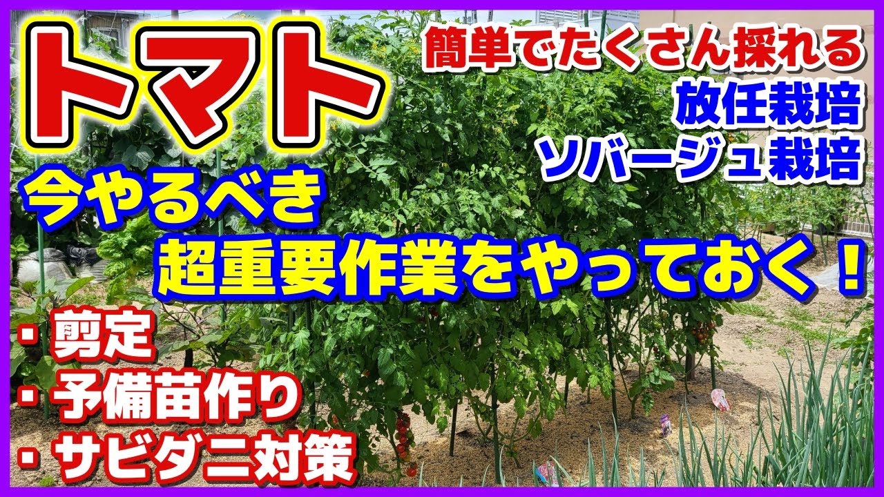 サムネ