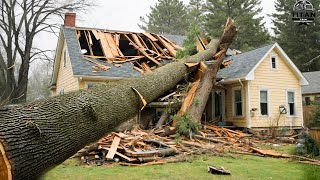 Dangerous Fastest Idiots Cutting Tree Fails Skill With Chainsaw | Tree Falling on Houses #1