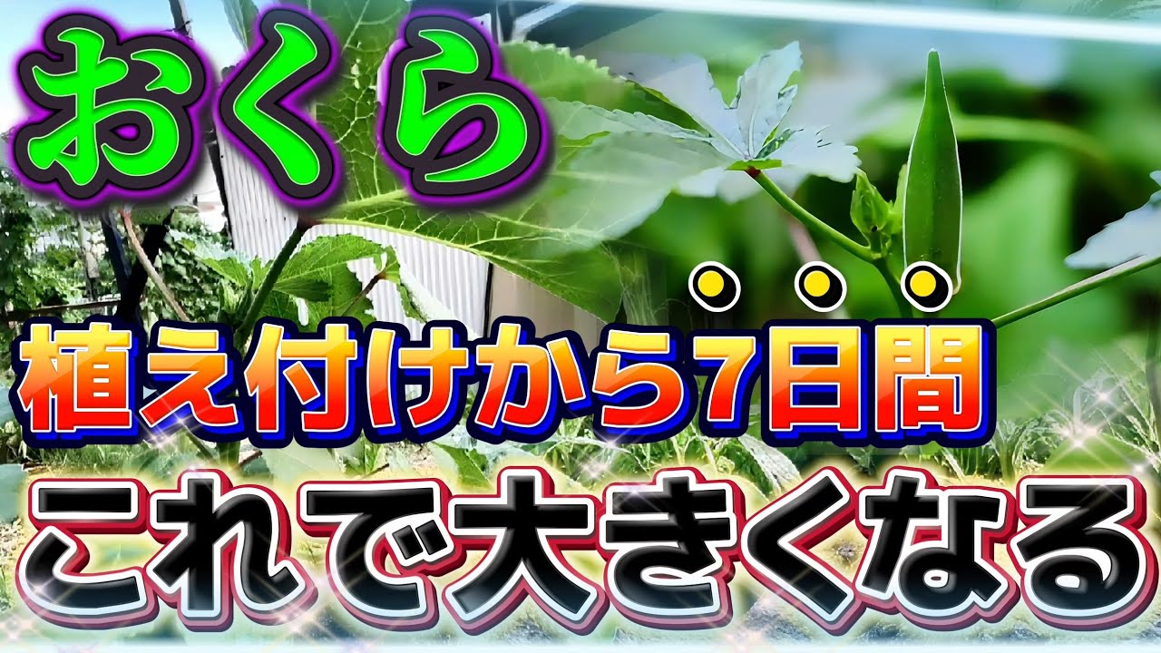 サムネ
