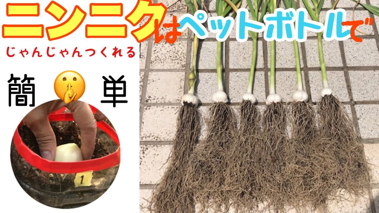 サムネ