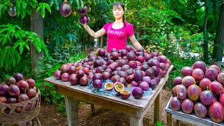 Harvesting Passion Fruit to Sell at the Market – Caring for Ducklings and Pigs | Phuong Harvest Life
