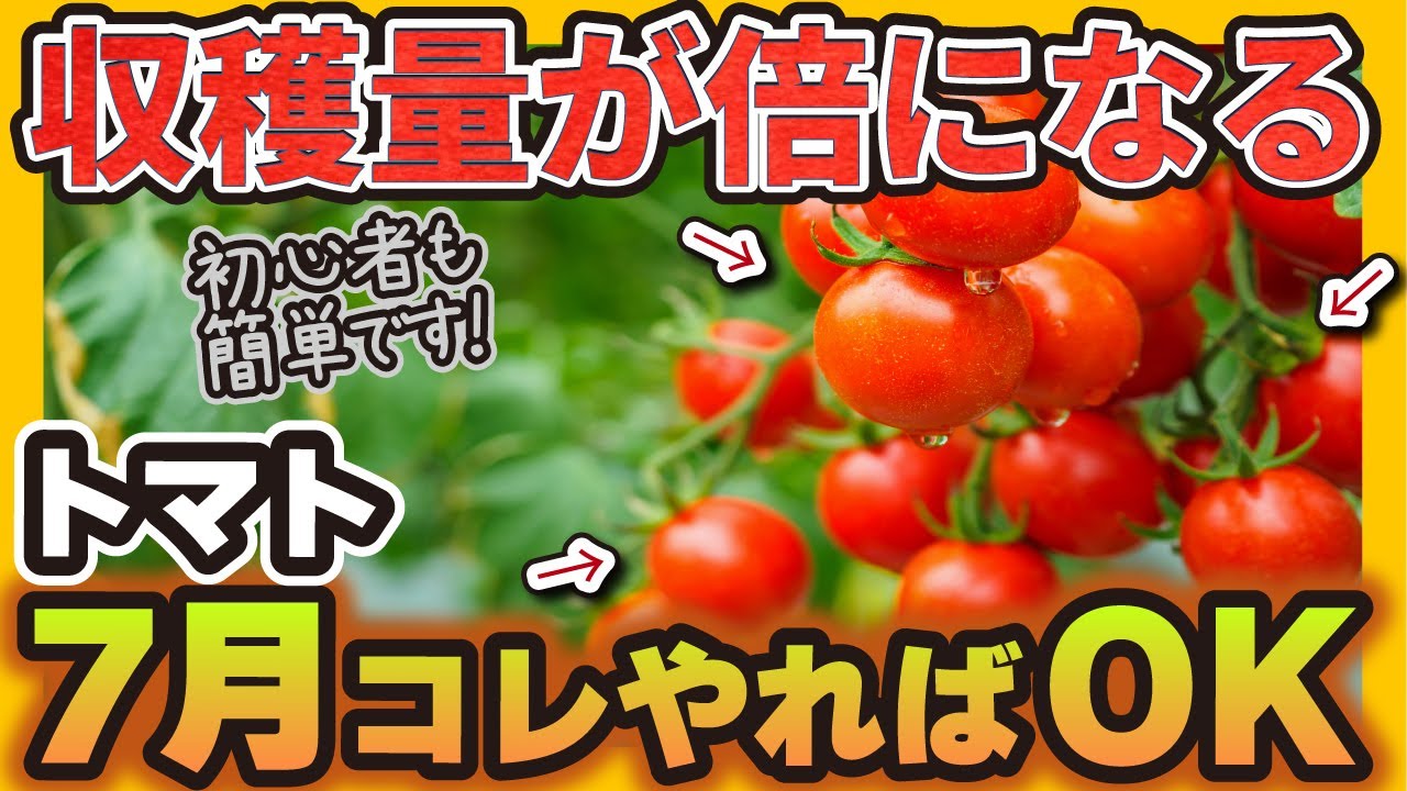 サムネ