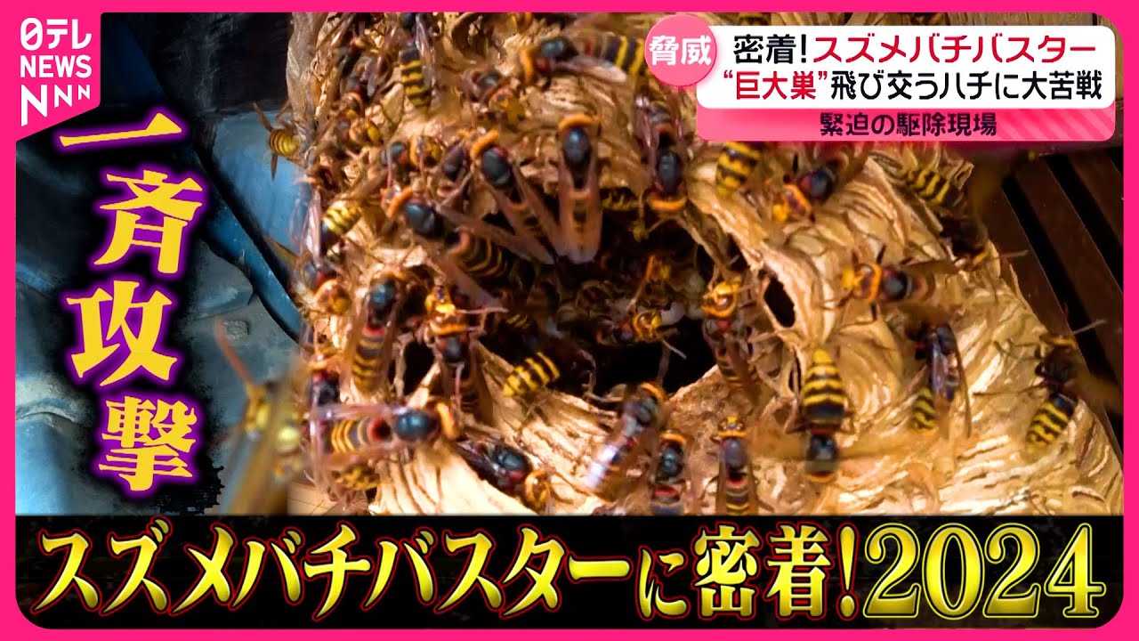 サムネ