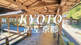 【교토 여행 Vlog】 ep.2🌸 교토 명소 봄 산책 | 키요미즈데라와 난젠지 | 철학의 길과 은각사 | 응커피, 우동 오멘, 갓포요리 리키치