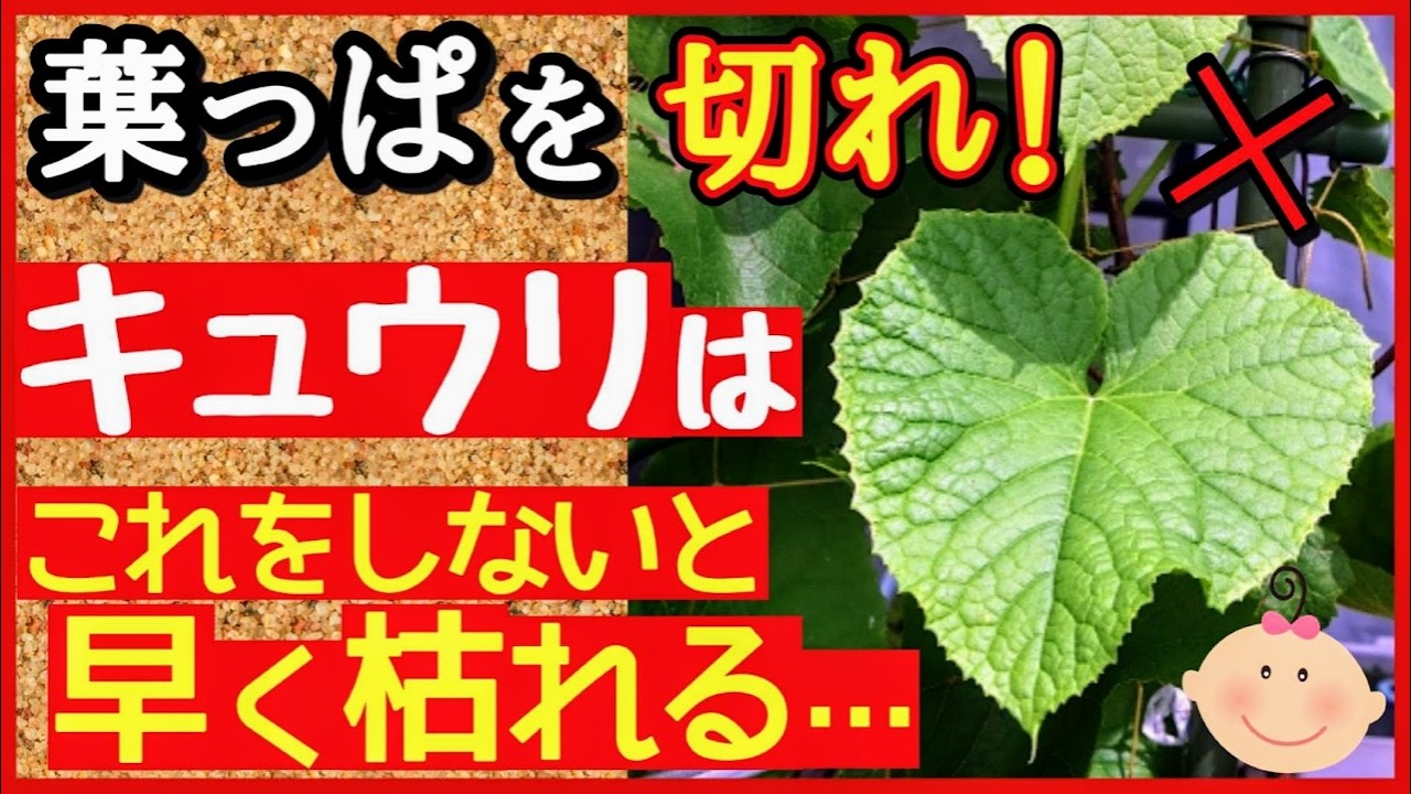サムネ