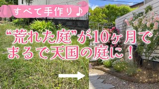 【バラが満開】【薔薇と宿根草の庭づくりを始めて10ヶ月】【フェンス＊つるバラアーチも全部手作り】荒れた庭が天国の庭になった！ガーデニング