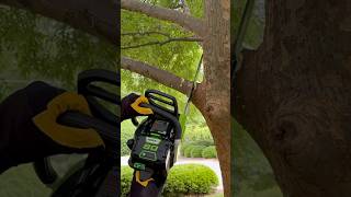 GreenWorks 80V 18インチチェーンソーの開梱と初使用 #diy #レビュー #チェーンソー