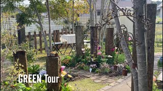 【個人邸】お花少なめなのにこんなに春らしくお洒落なお庭素敵すぎる！宿根草たちの開花リレーが始まる元和風のお庭とは思えない素敵な空間！| カーナガーデン | 園芸/ガーデニング店巡り | 兵庫/加西