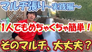 【家庭菜園】初心者1人でも簡単にできるマルチの張り方！これ使わない理由が分かりません！