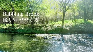 Calming Babbling Brook Sounds for Relaxation, Sleep, Meditation, Study / 1 hour Nature Sounds / ASMR