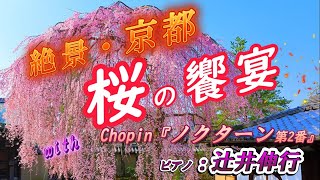 絶景・京都『桜の饗宴』with.Chopin『ノクターン第2番』ピアノ：辻井伸行