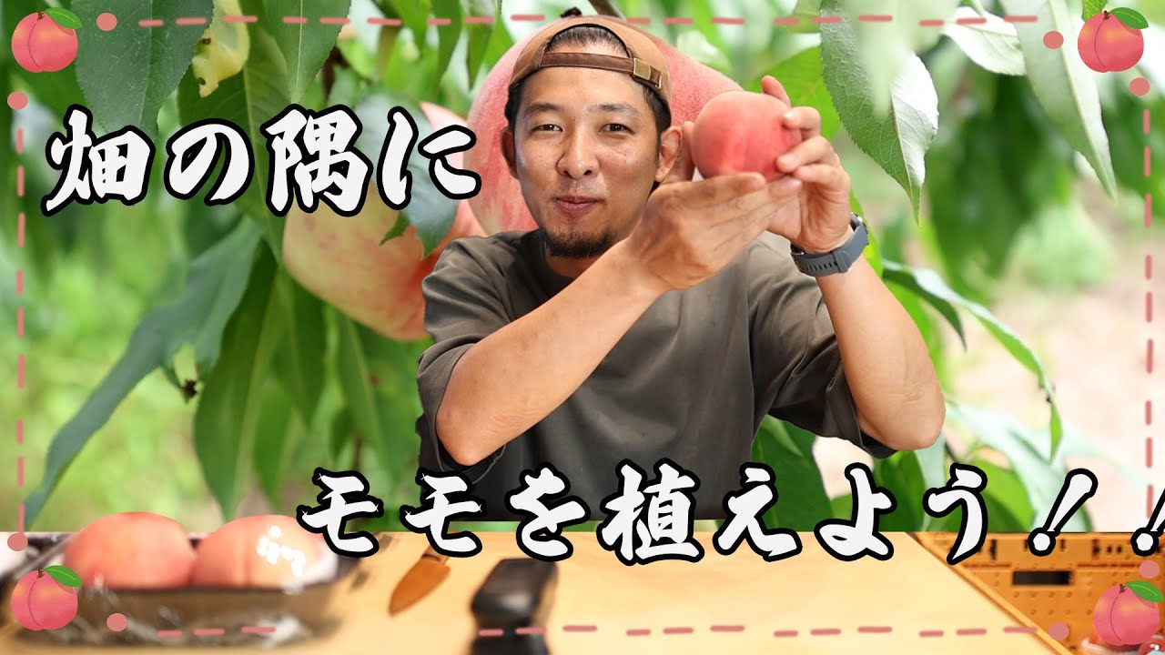 サムネ