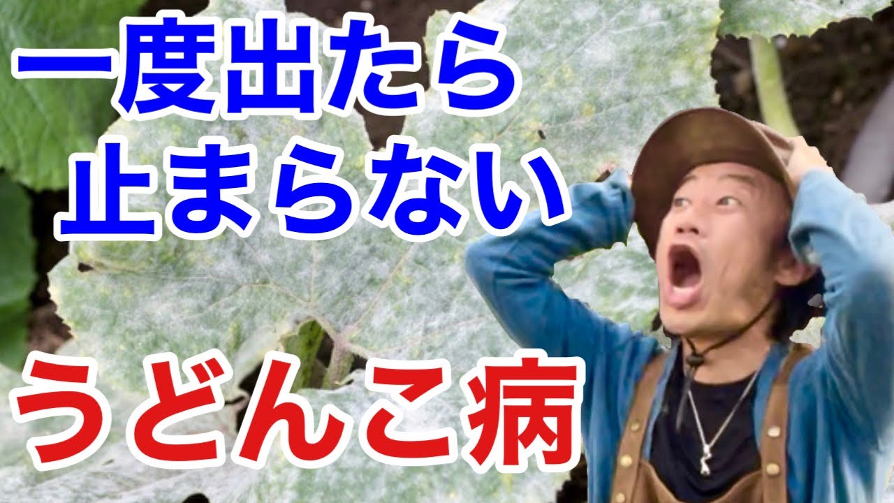 サムネ