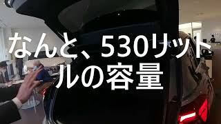 アウディの電気自動車！Q4 e-tron展示車発見！Audi etronも一緒に紹介！日産ARIYAの対抗馬になるか？