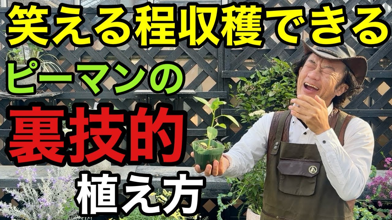 サムネ