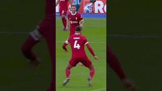 Mitoma Penalty Claim Against Van Dijk 🤾‍♂️ #kaorumitoma #vandijk #liverpool #brighton