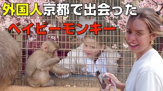 【海外の反応】外国人が大感激!京都嵐山で出会ったベイビーモンキー!天龍寺、竹林の小径、亀山公園、渡月橋、いわた山モンキーパーク | 最高の日本旅行の満喫方法をしらべてみたら