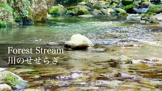 Calming Forest Stream Sounds for Relaxation, Sleep, Meditation, Study / 1 hour Nature Sounds / ASMR
