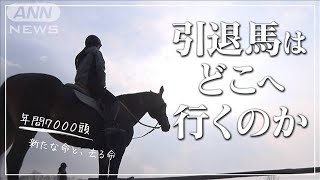 【引退馬はどこへ行くのか】馬と暮らす人に訊ねた命との向き合い方【サタデーステーション】(2024年5月17日)