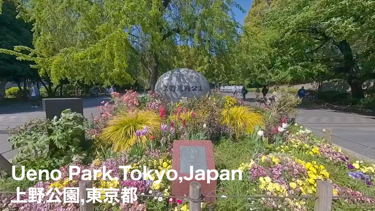 サムネ