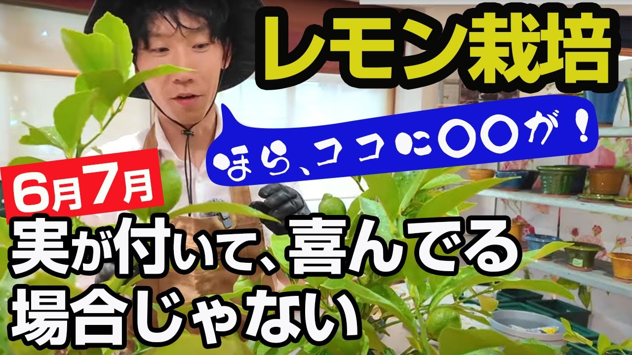 サムネ