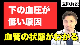 【原因と要注意な症状】下の血圧が低い時に考えられる病気とは？動脈硬化が進んでる？現役医師が詳細解説