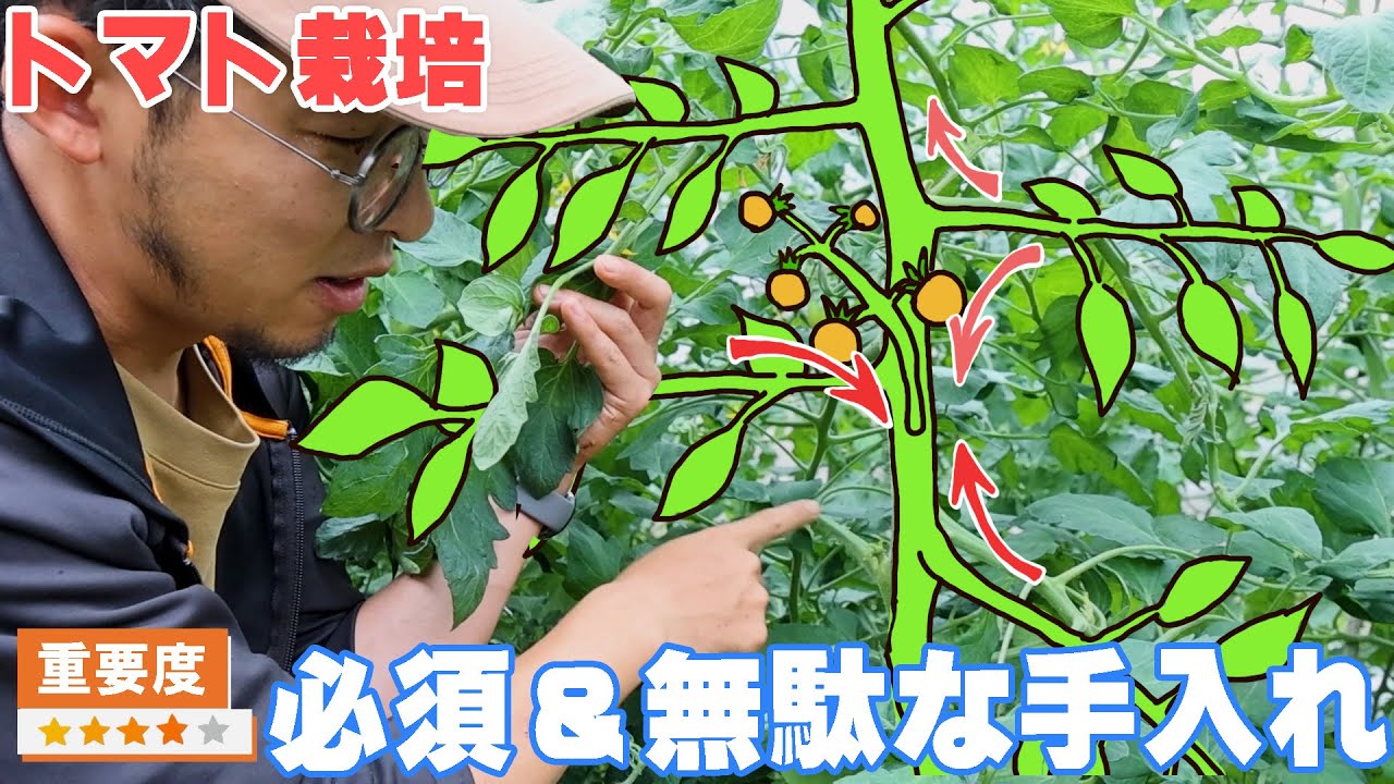 サムネ