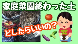 【土どうしよう？】だよね！とことん使う派？さよなら派？　ーしばみゆアットランダム＃15 #土再利用 #リサイクル #家庭菜園 #袋栽培 #簡単